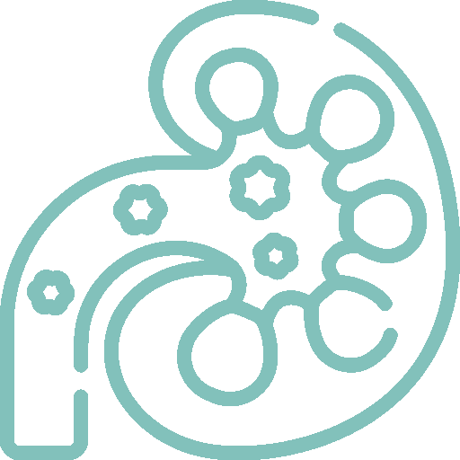 kidney-stone-service