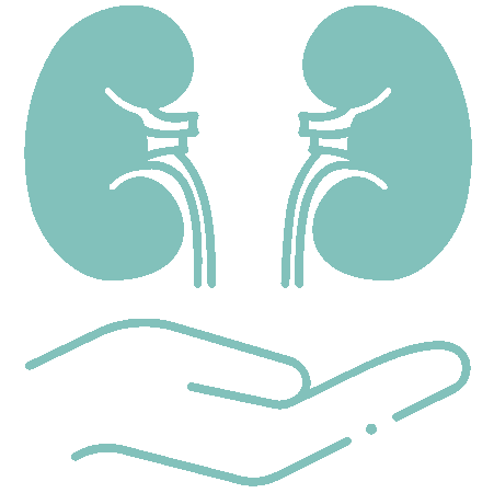 kidney-transplantation-icon